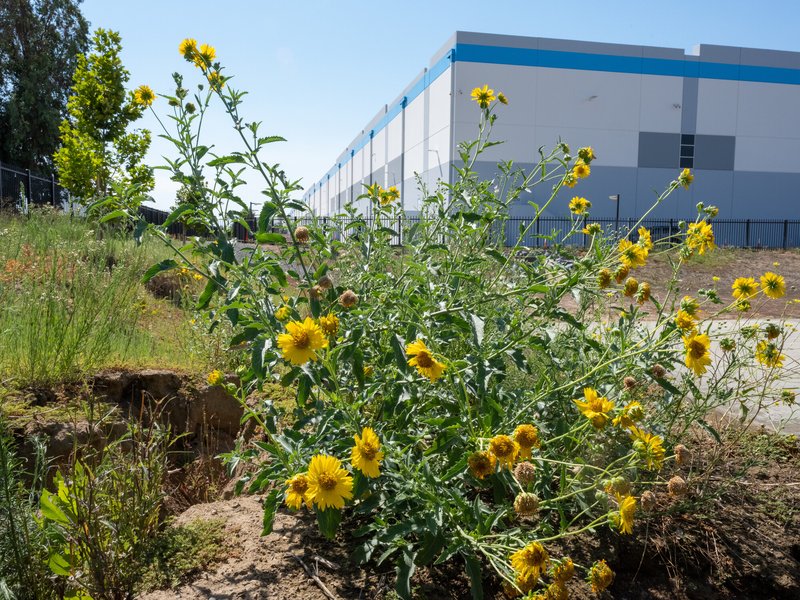 48da5d5c-db66-4364-bdd5-9f1f8d24eddb