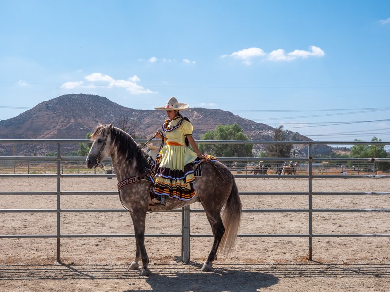 ce718ea3-2d21-4a62-9003-2399da9faa03