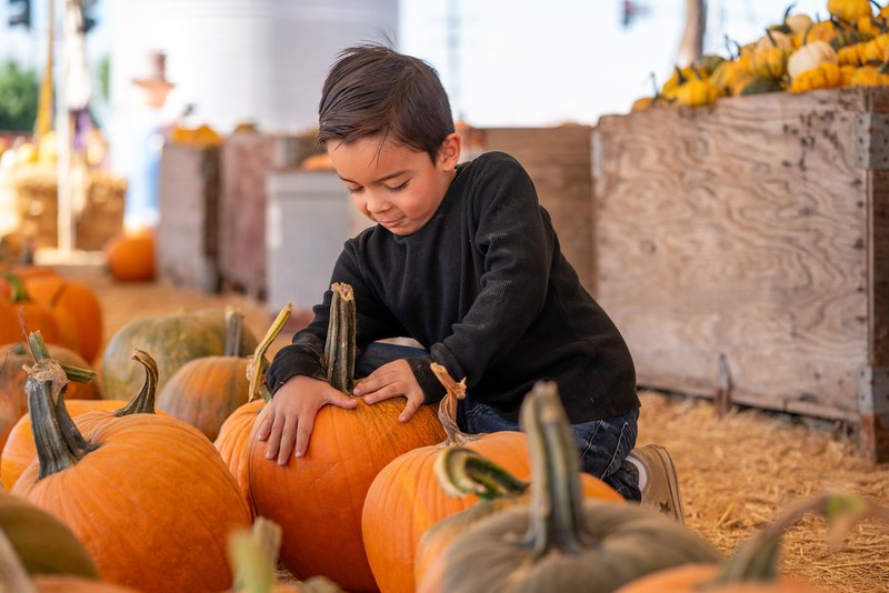 3572096c-a551-4221-b303-b1742996091f