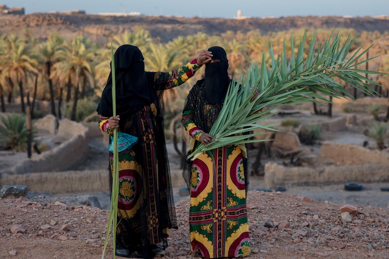 5dd3adaa-5622-425d-8957-c8a31adaeb66