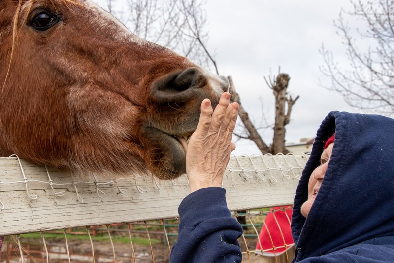 11c6d1c1-6a37-4159-8313-3ca864f51854