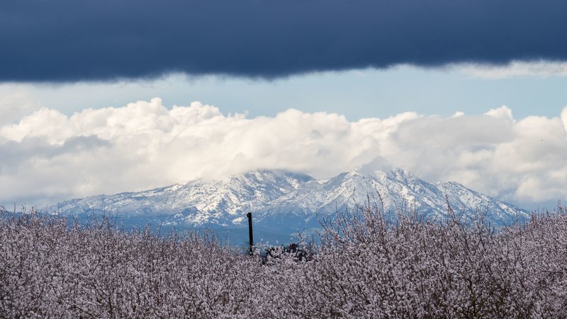 c59e6c49-5bda-438c-af74-dd1e79a3b6db