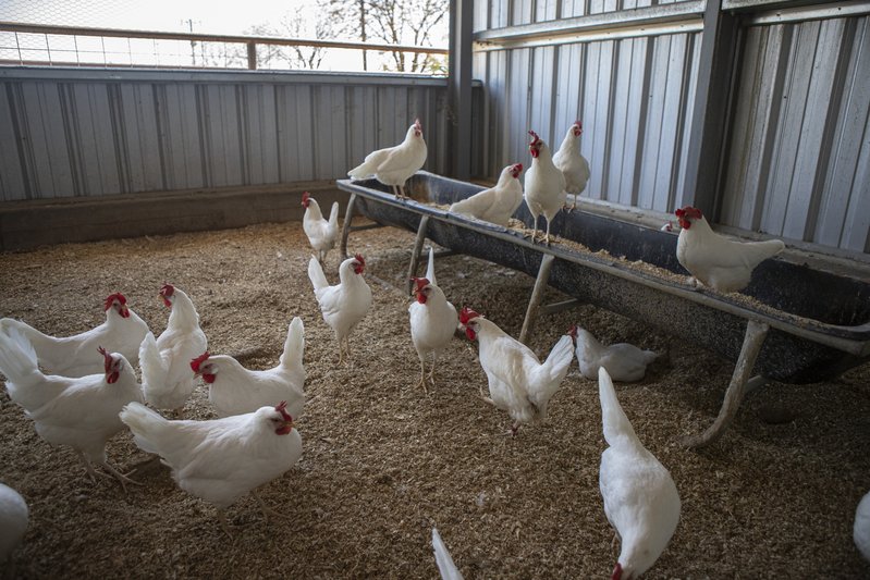 b15ecdec-b818-471a-bcfc-046c5fc45173