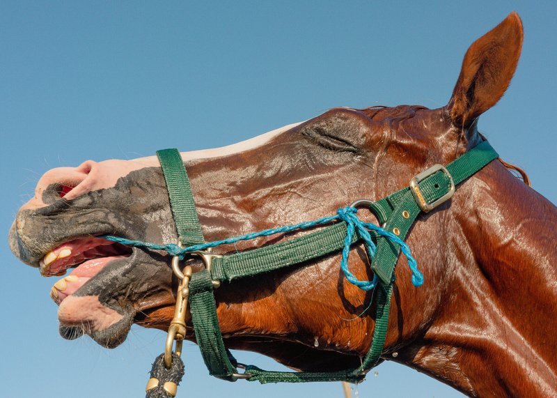 55a4d788-490b-461b-ad5d-56c69e25047d